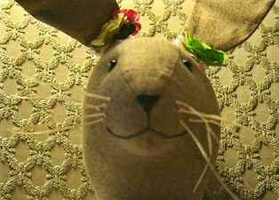 Jackie the Jack Rabbit