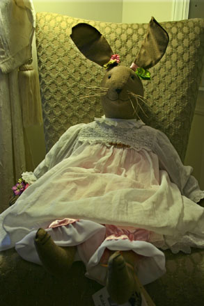 Here is our fabulous featured rabbit!